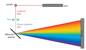 Raman spectroscopy