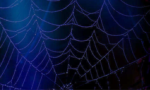 Enhancing Fraud Detection in Finance with AI/ML and Snowflake