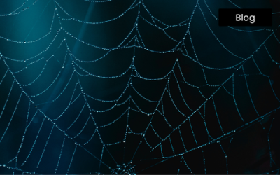 Enhancing Fraud Detection in Finance with AI/ML and Snowflake
