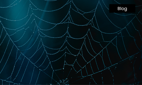Enhancing Fraud Detection in Finance with AI/ML and Snowflake