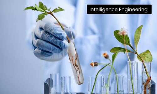 Forest Drug & Chemical Identification Using AI-Powered Raman Analytics